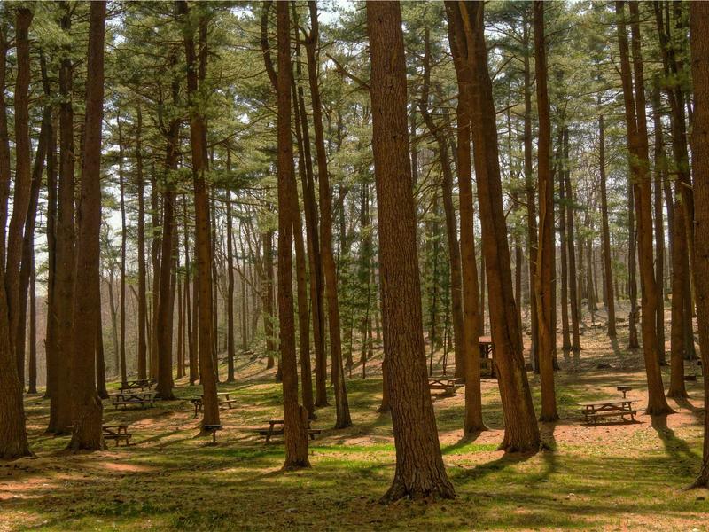 sudoku zen mode screenshot 4