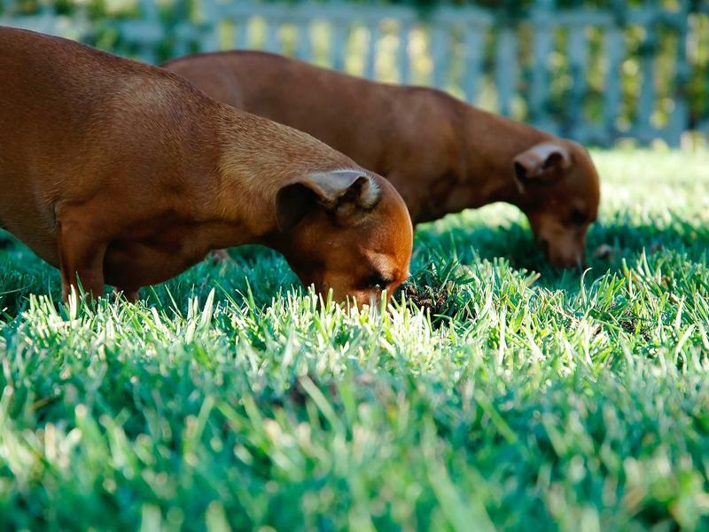 sudoku zen mode screenshot 3